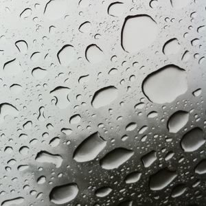 Meet your Posher, Eva